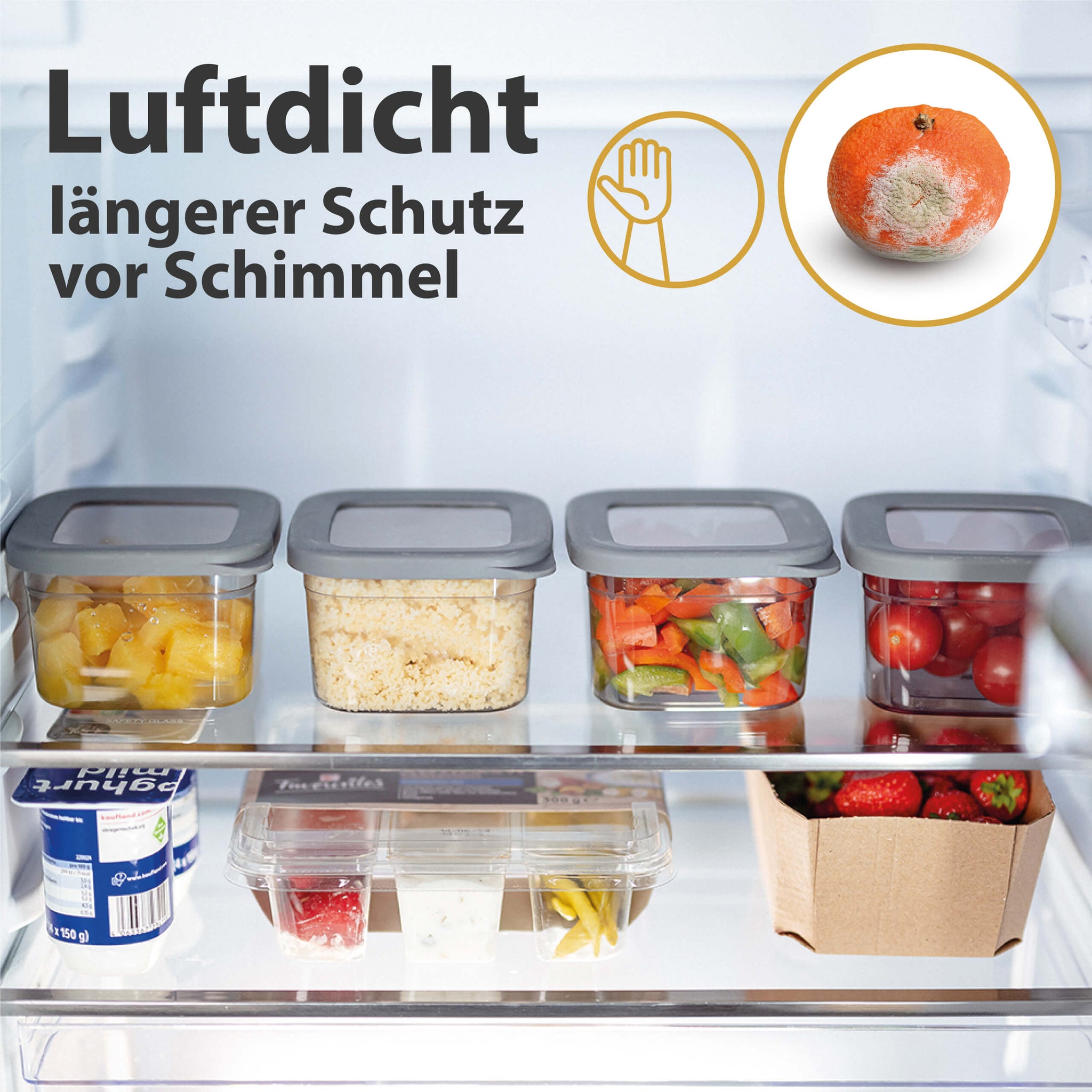 Luftdichte Vorratsdosen Single Size Sets 6er Set 1.500ml Anthrazit