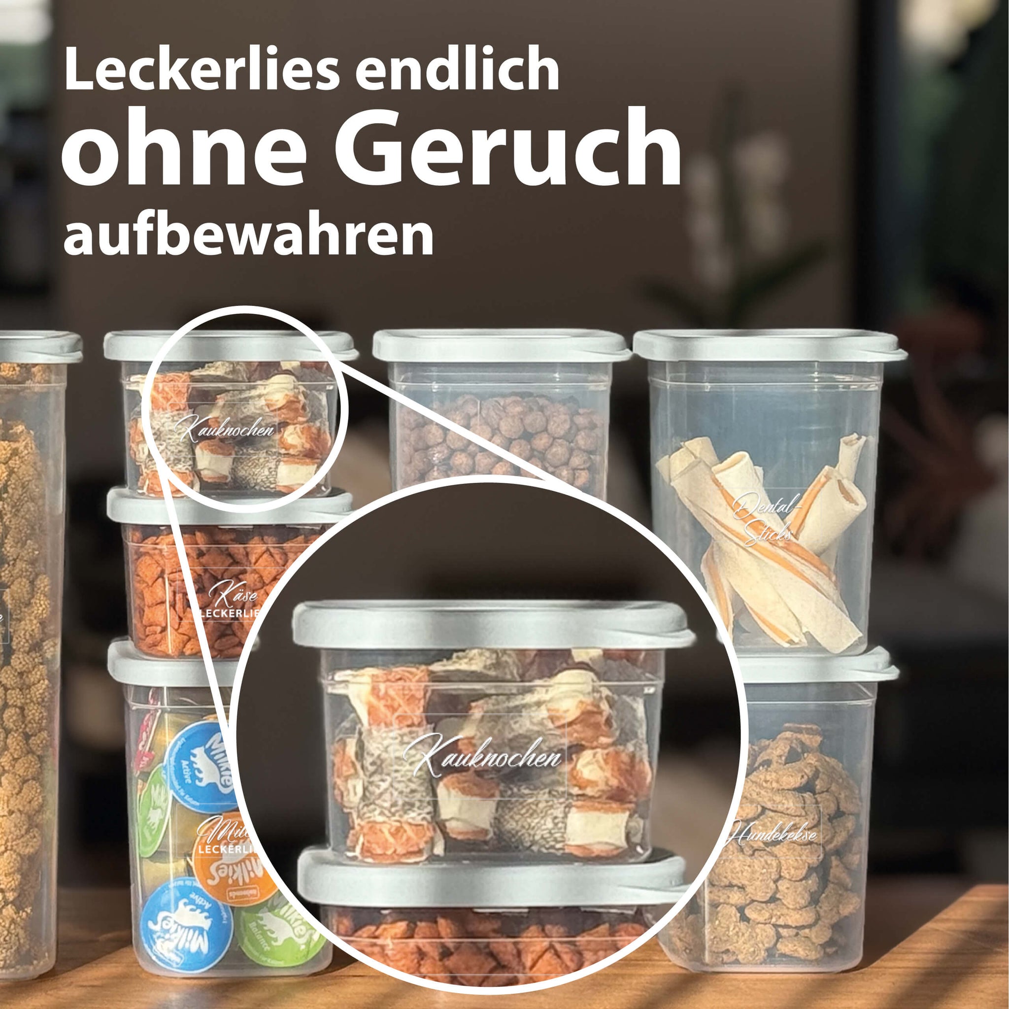vorratsdosen aufbewahrung Qoona Vorratsdosen Single Size Set 12 St 500 ml Cool Grey